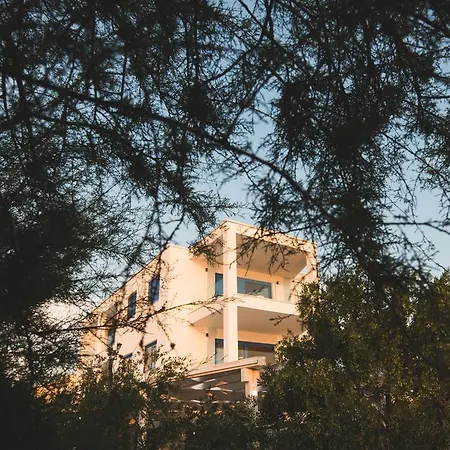 Affittacamere & Shark