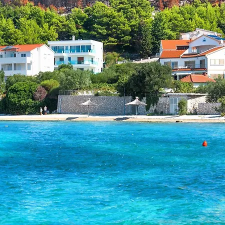 ゲストハウス & Shark ザボリッチ