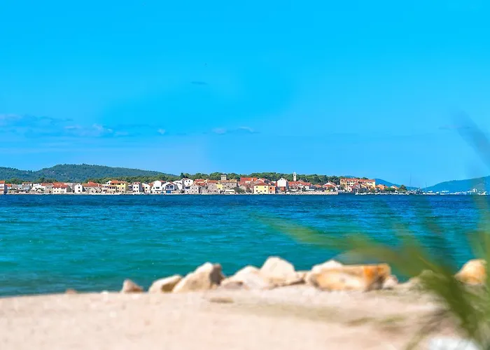 Affittacamere & Shark