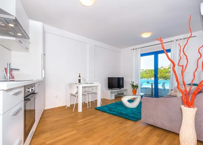 Affittacamere & Shark Zaboric