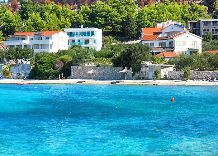 Gasthuis & Shark Zaboric