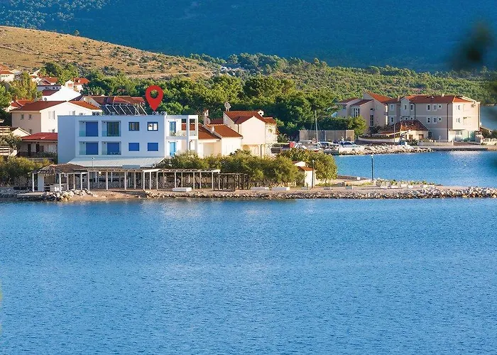 & Shark Gasthuis Zaboric